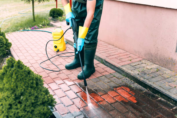 Animal Enclosure Cleaning in Garrett, TX